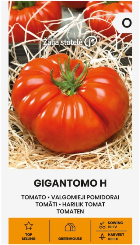 Pomidor Gigantomo H o bardzo dużych owocach nasiona Žalia stotelė sklep rajogrodnika